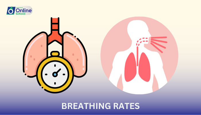 Lesson 05: Breathing Rates and Their Significance